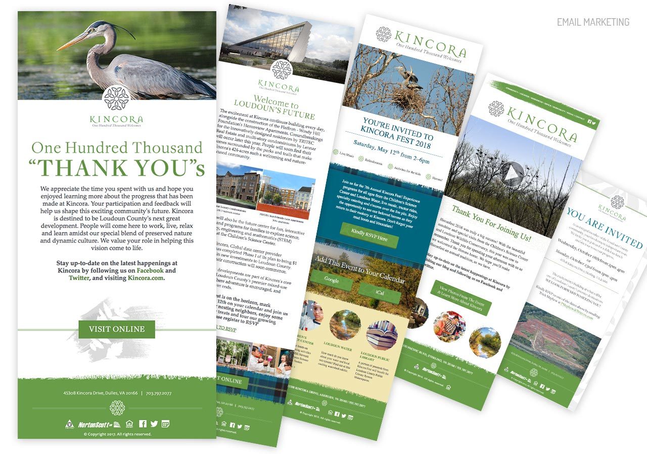 A set of informational pamphlets featuring nature scenes, wildlife photos, and text about outdoor activities and conservation.
